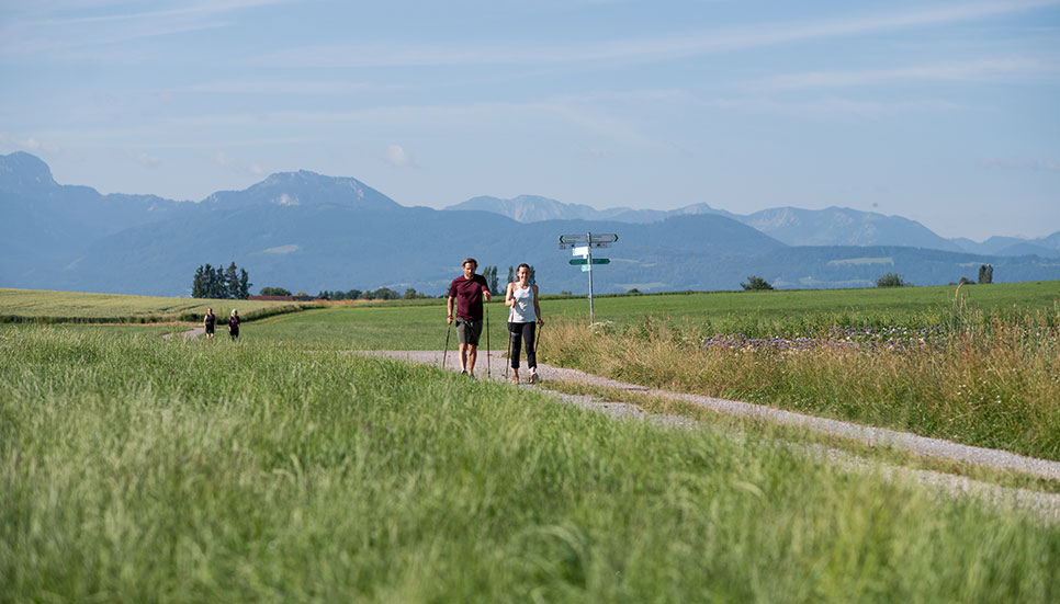 Image Slider 14